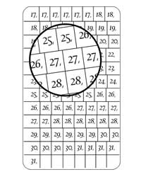 Calligraphy Dates 17-31