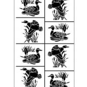 Ducks